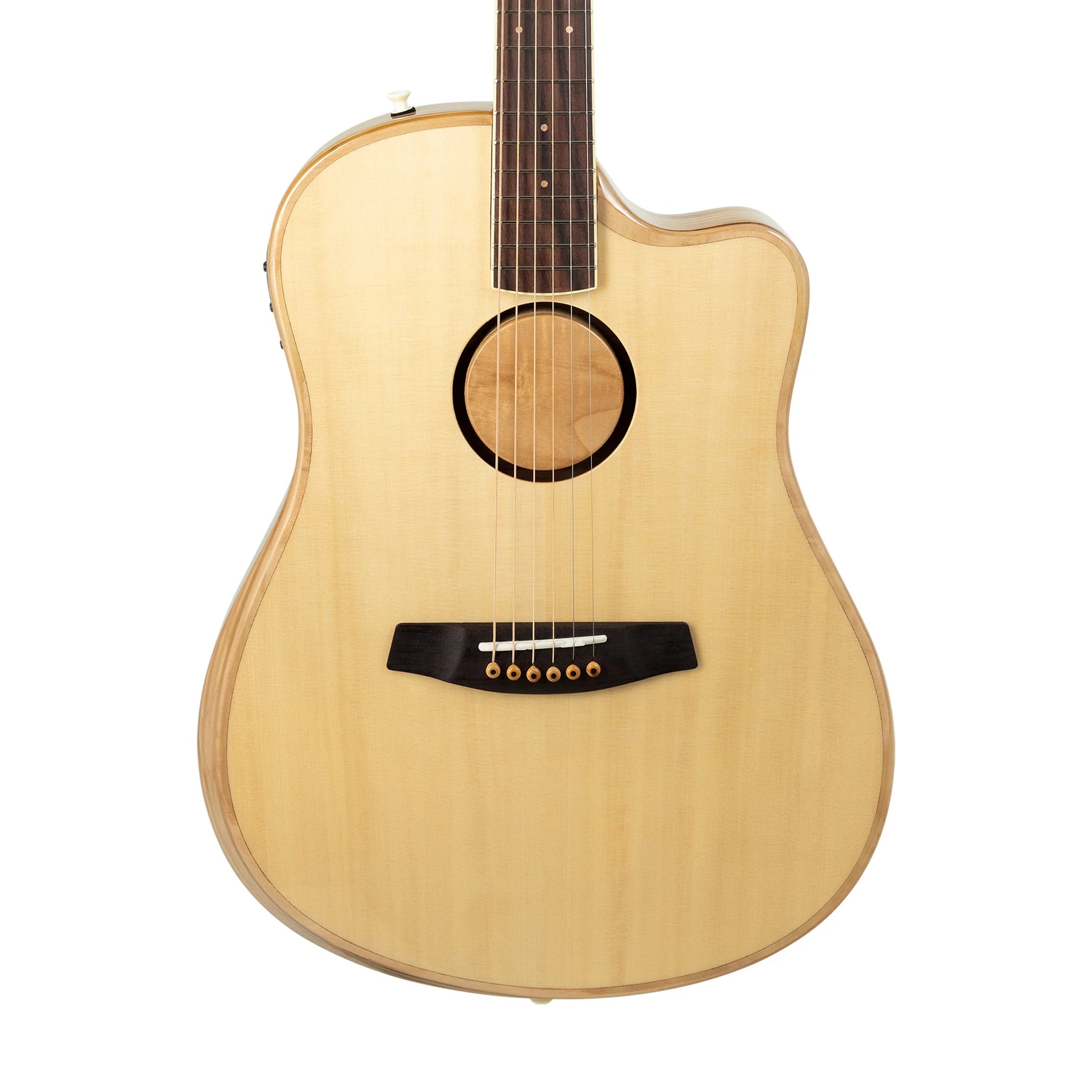 Đàn Guitar Acoustic LR Baggs AEG-1 - Việt Music