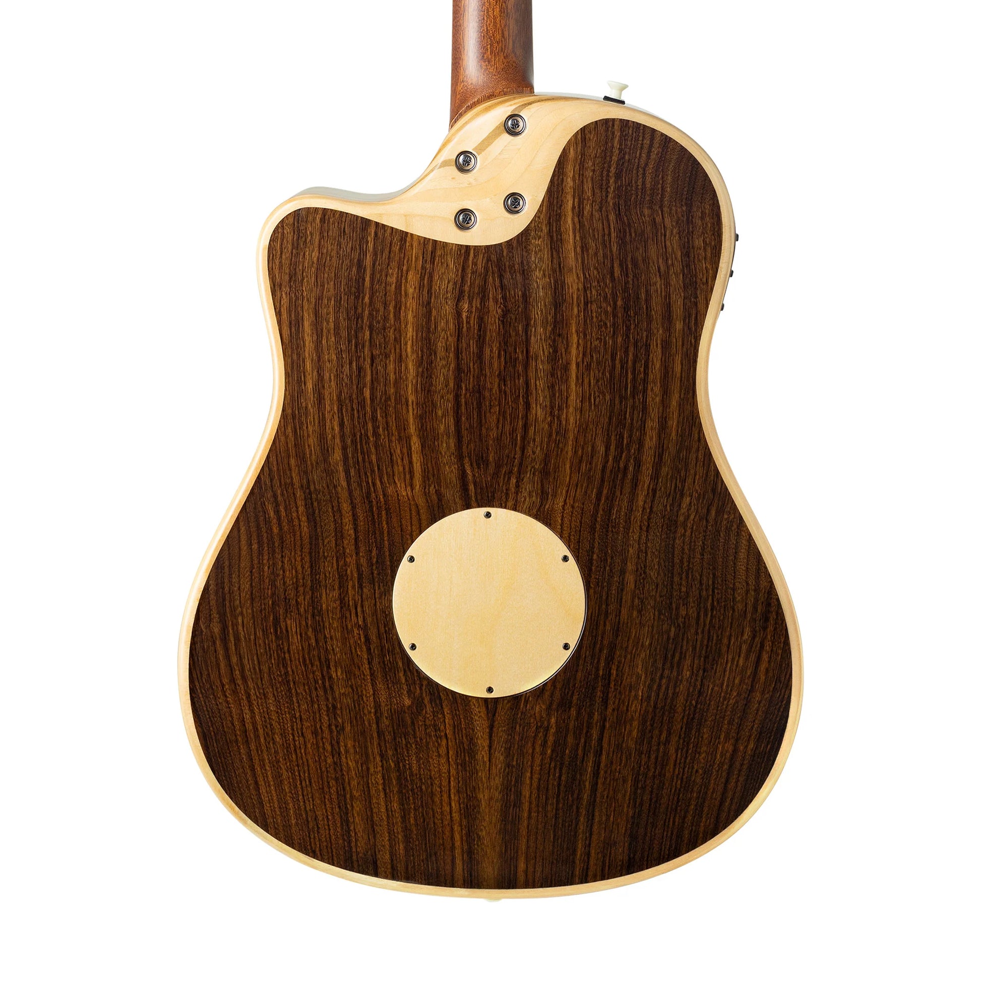 Đàn Guitar Acoustic LR Baggs AEG-1 - Việt Music
