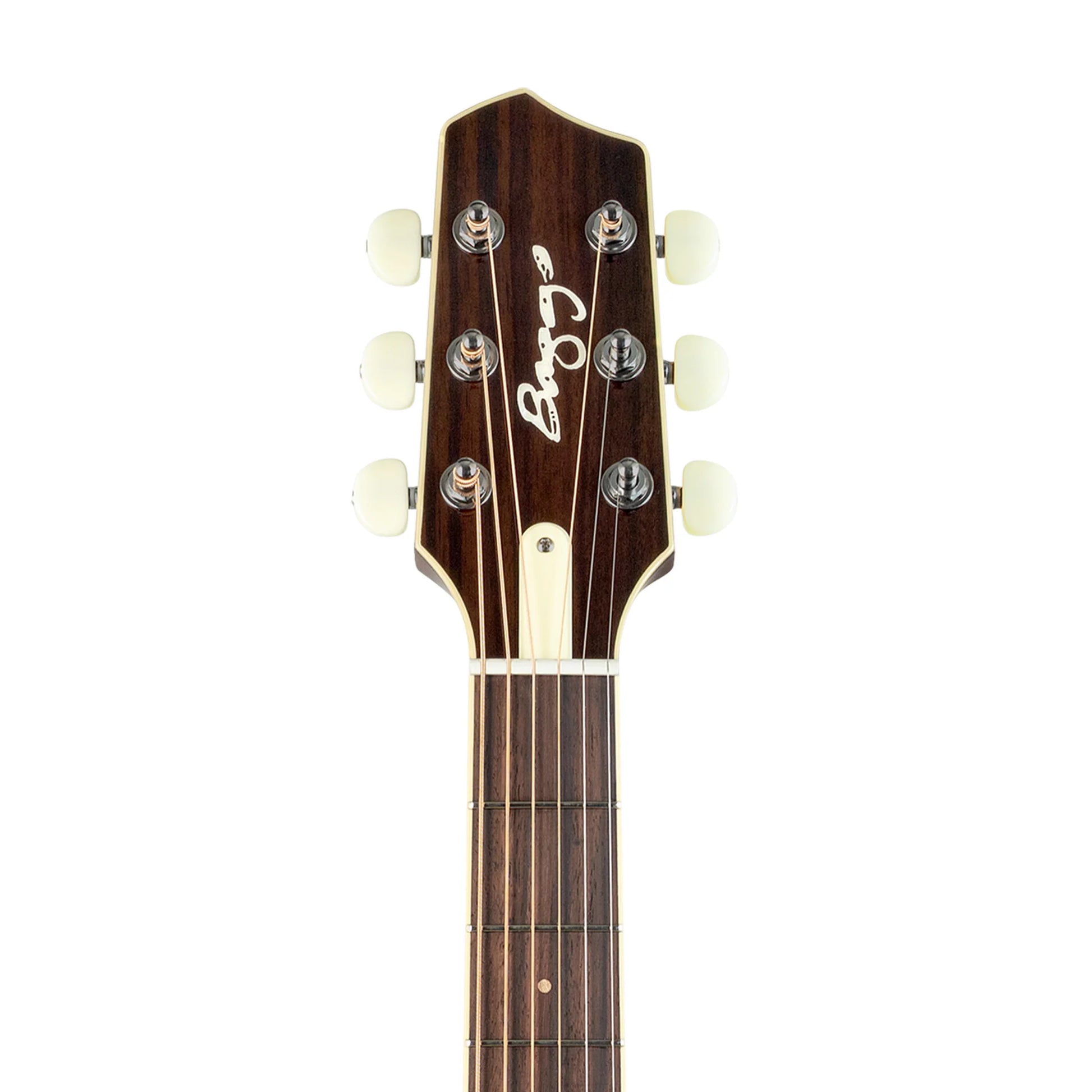 Đàn Guitar Acoustic LR Baggs AEG-1 - Việt Music