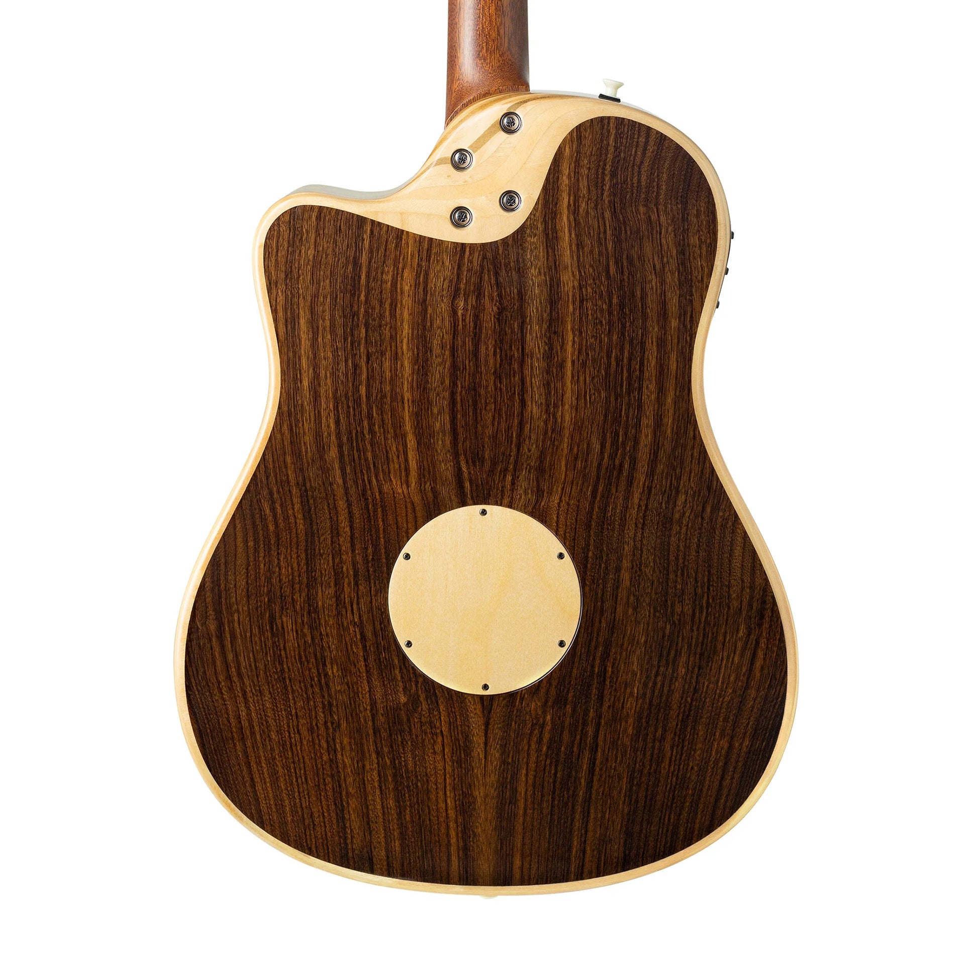 Đàn Guitar Acoustic LR Baggs AEG-1 - Việt Music