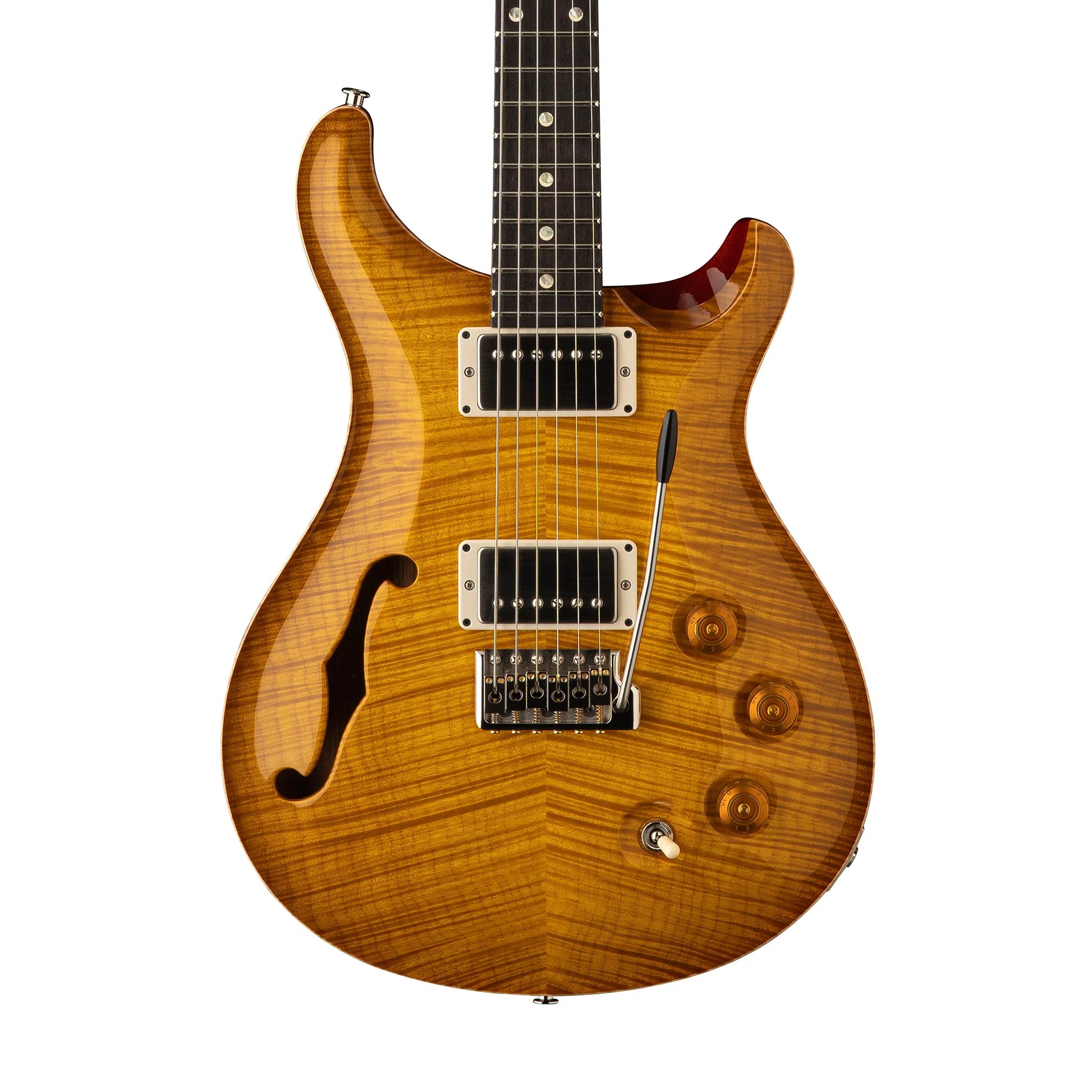 Đàn Guitar Điện PRS Core DGT Semi-Hollow HH, Rosewood Fingerboard (2026) - Việt Music
