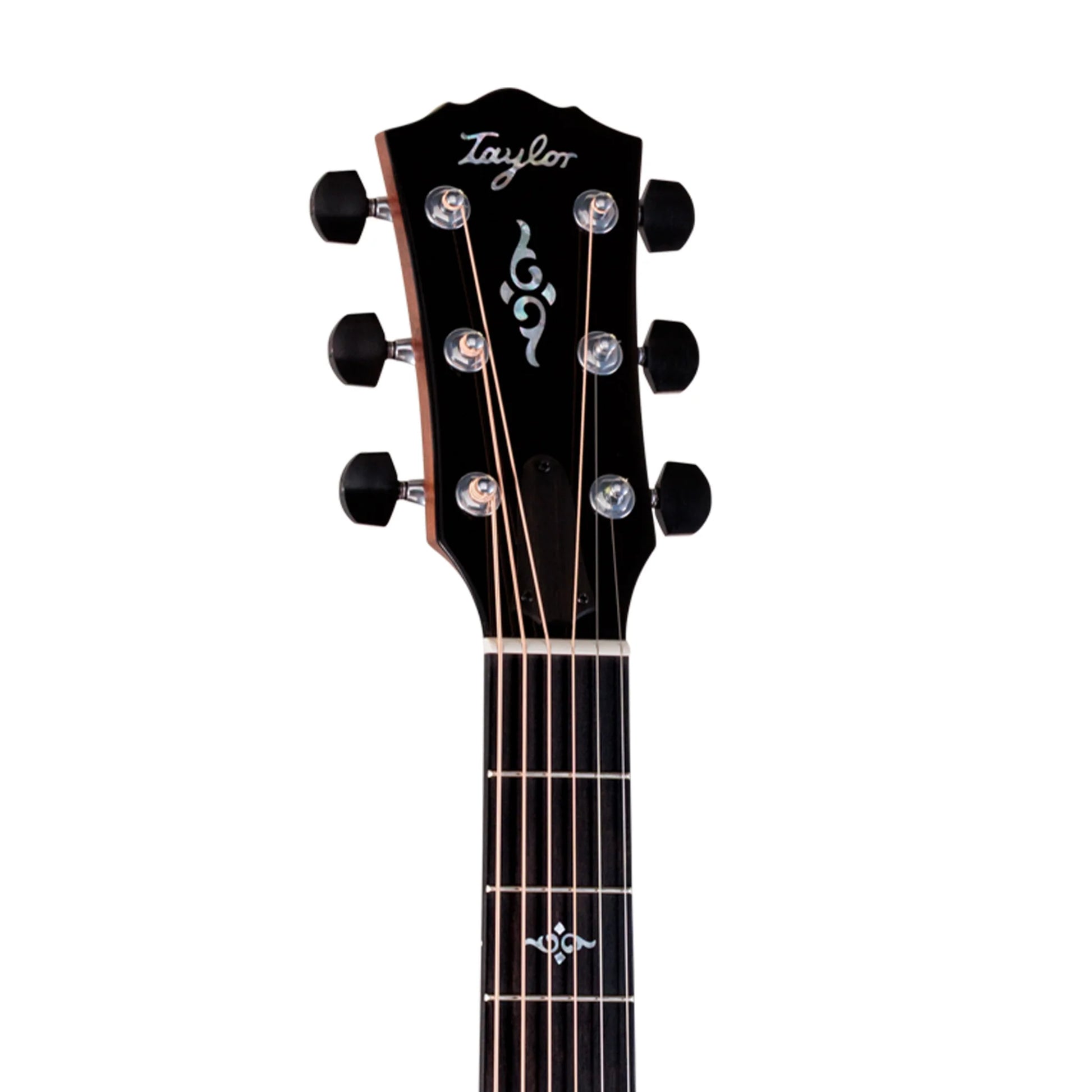 Đàn Guitar Acoustic Taylor 817E Gold Label - Việt Music