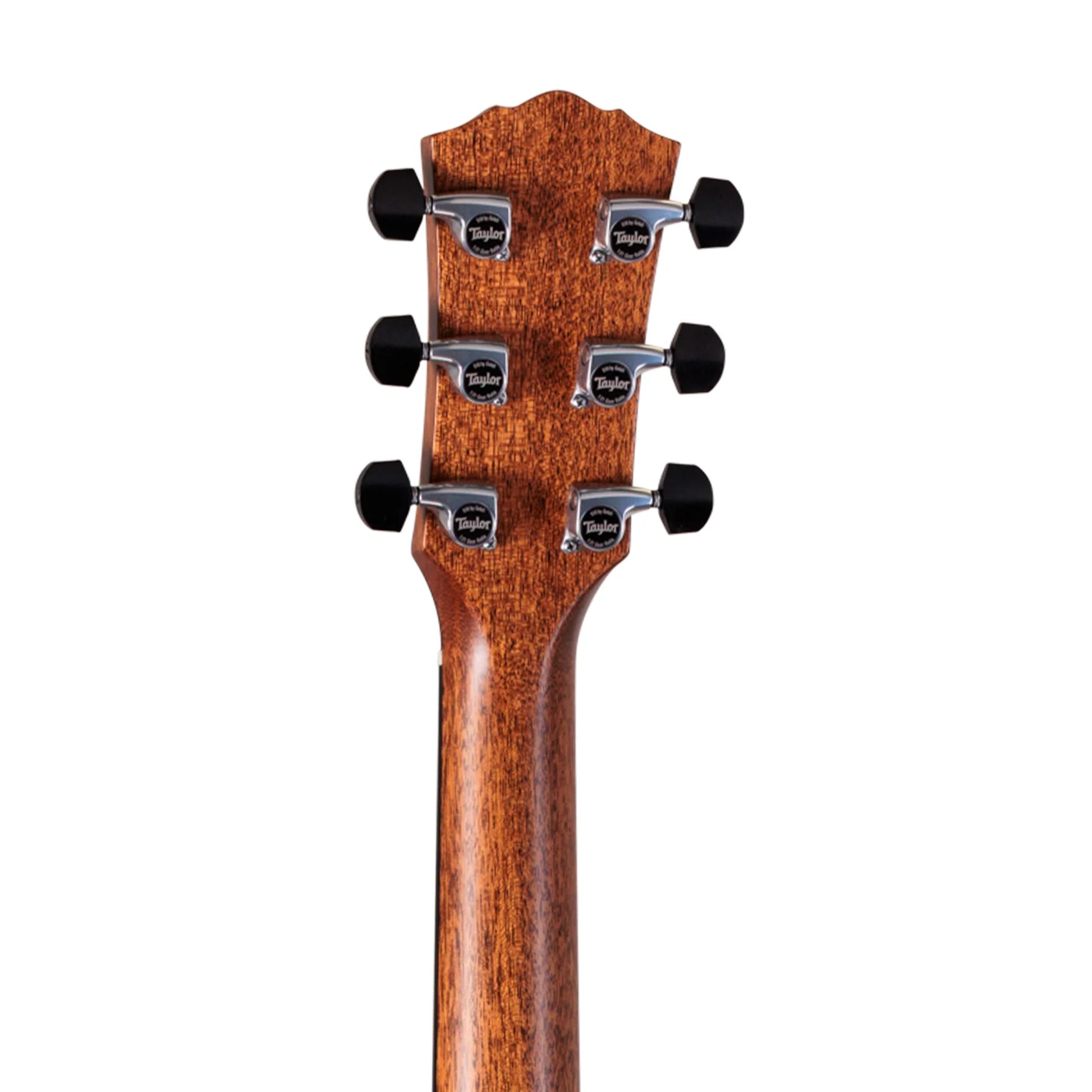 Đàn Guitar Acoustic Taylor 817E Gold Label - Việt Music