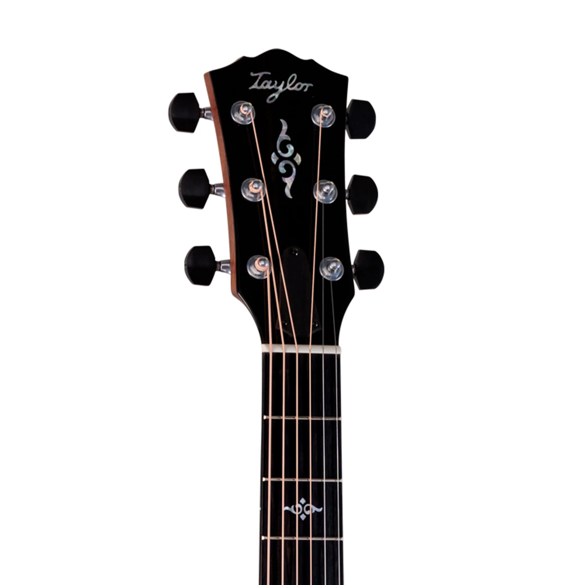 Đàn Guitar Acoustic Taylor 817E Gold Label - Việt Music