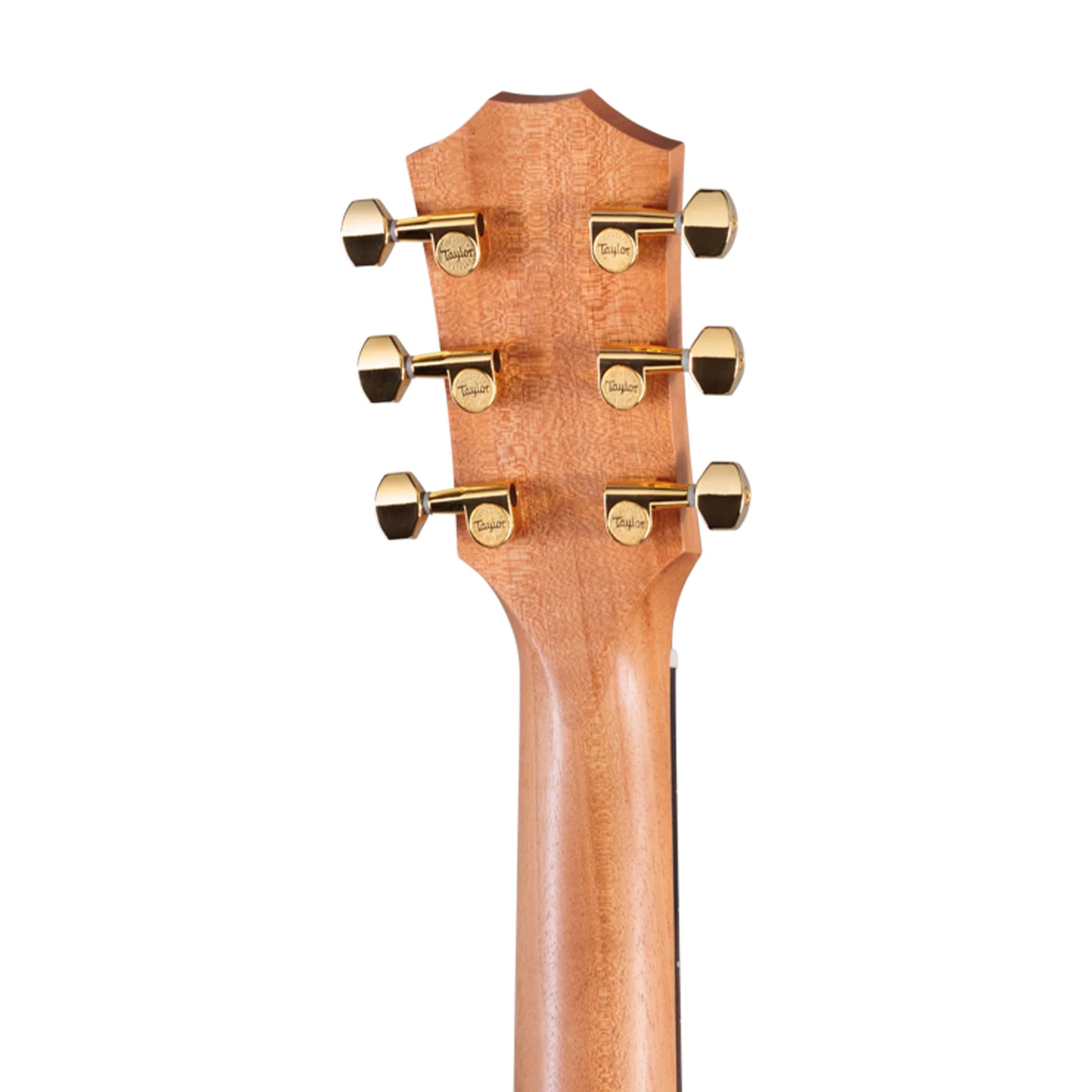 Đàn Guitar Acoustic Taylor GS Mini-e Rosewood LTD - 50th Anniversary - Việt Music