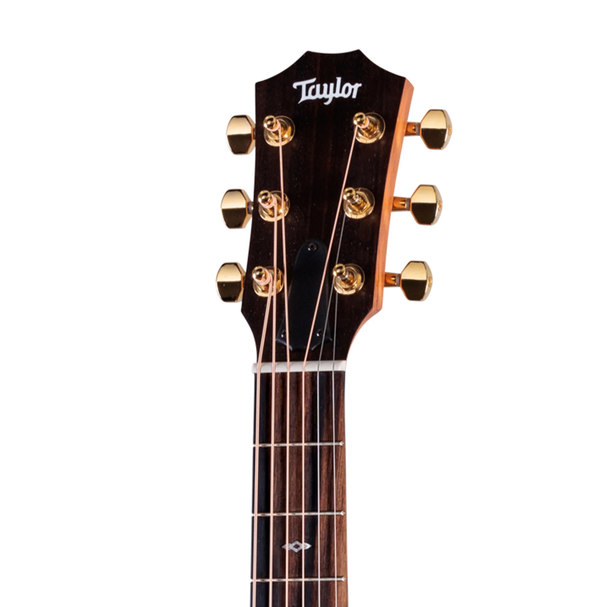 Đàn Guitar Acoustic Taylor GS Mini-e Rosewood LTD - 50th Anniversary - Việt Music
