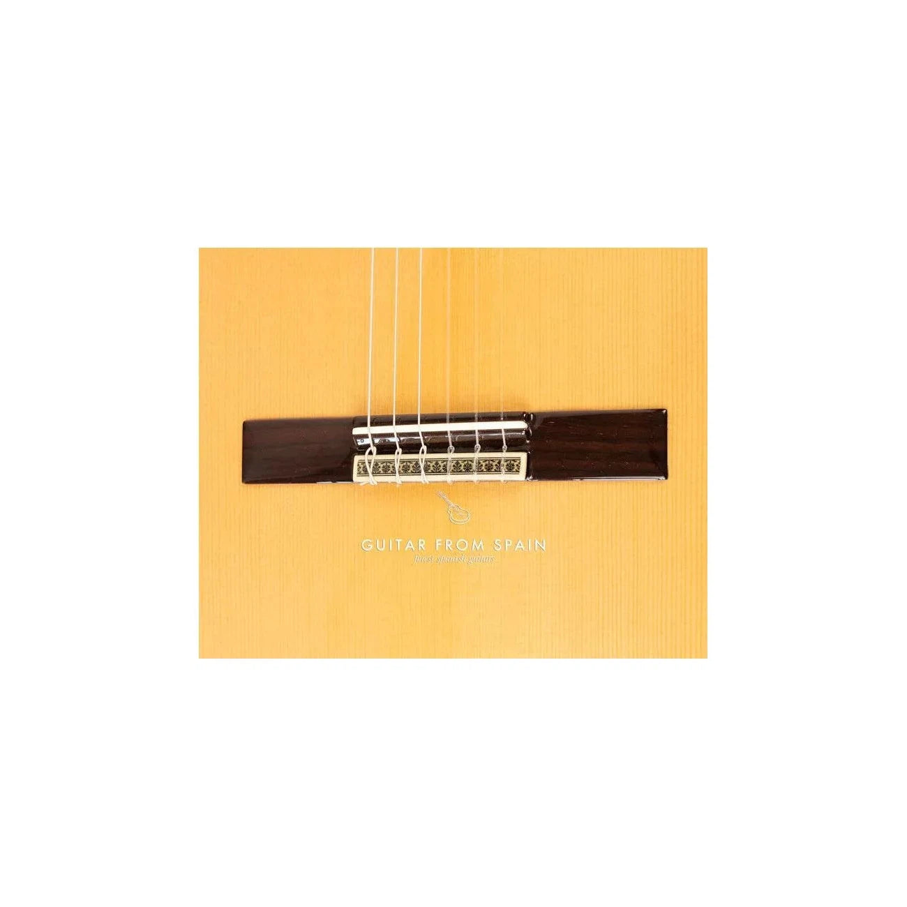 Đàn Guitar Classic Jose Ramirez Cut 2 Spruce - Việt Music