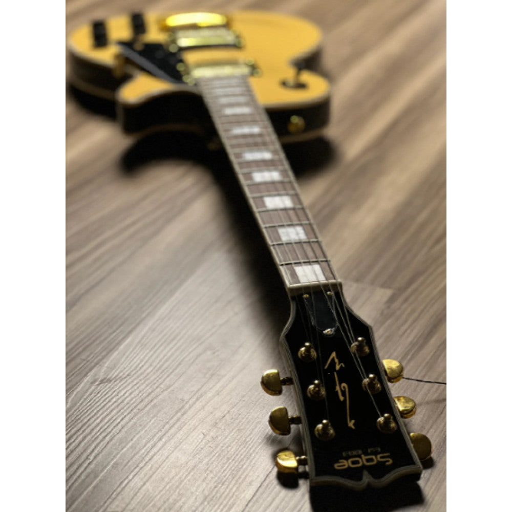 Đàn Guitar Điện Sqoe SELP300 HH, Rosewood Fingerboard - Việt Music