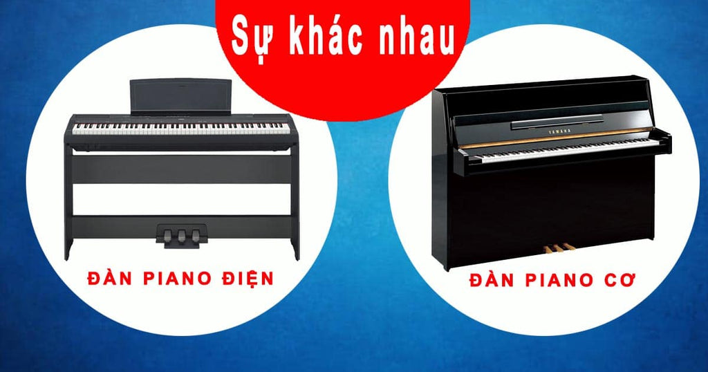 Kinh Nghiệm Mua Đàn Piano Giá Rẻ Cho Người Mới Học