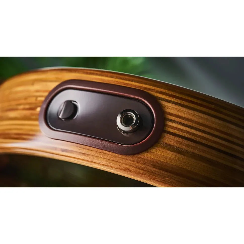 Đàn Guitar Acoustic LR Baggs AEG-1 - Việt Music