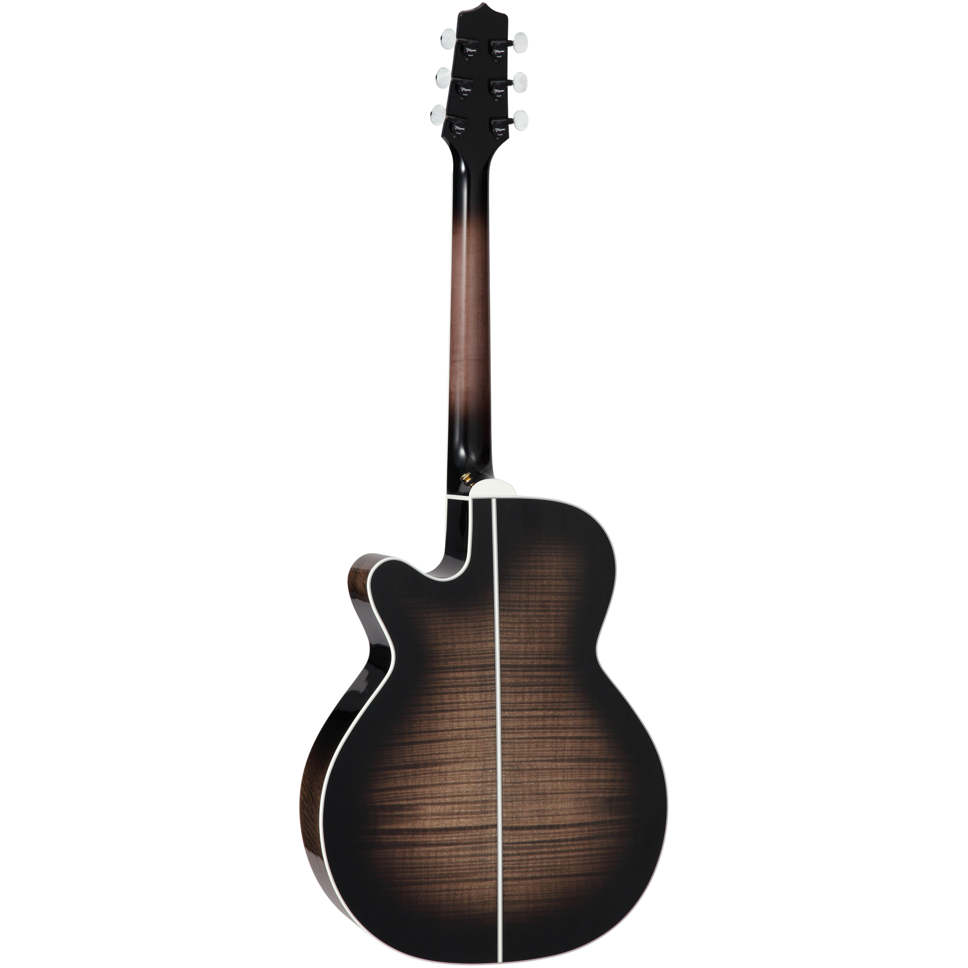 Đàn Guitar Acoustic Takamine EF450C-TT - Việt Music