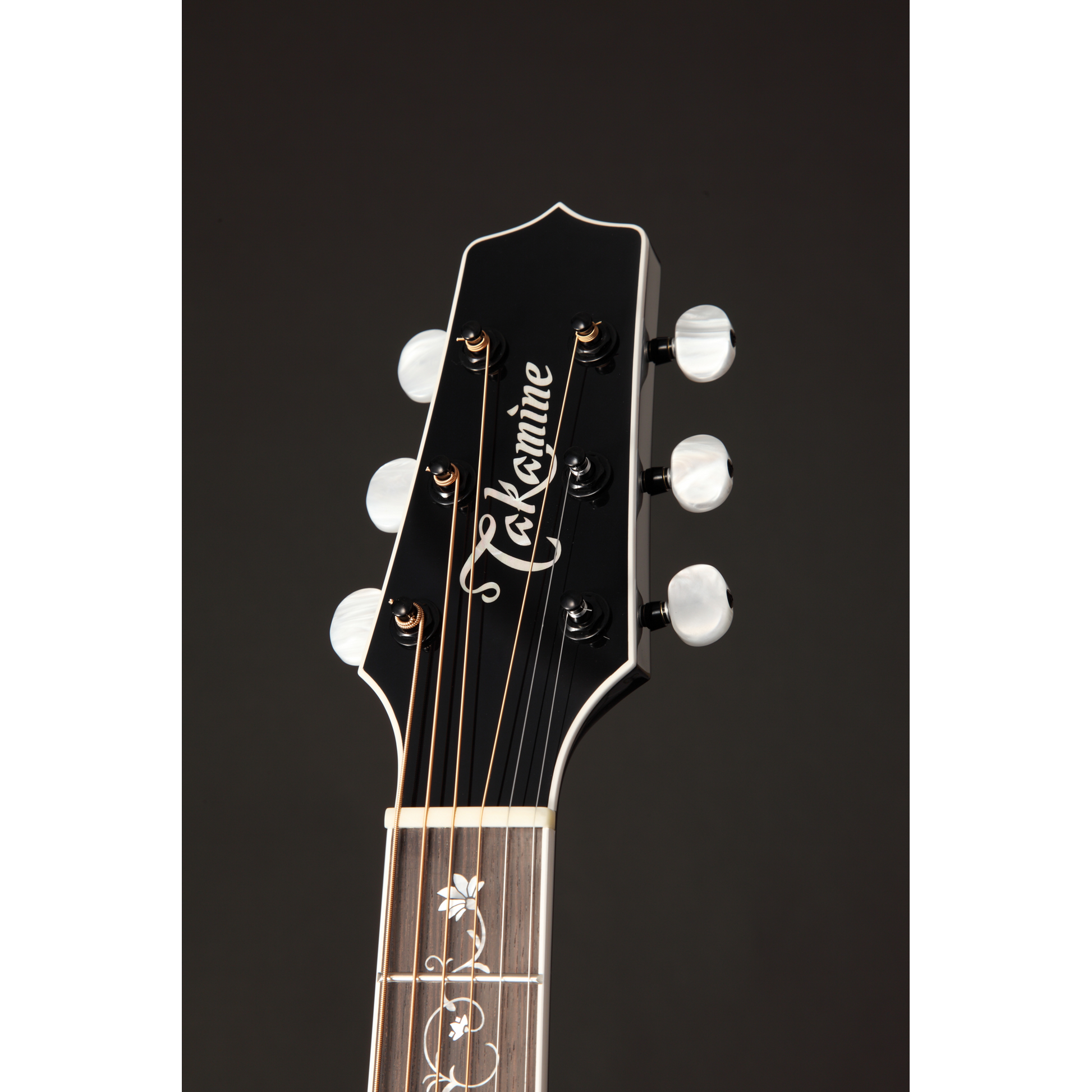 Đàn Guitar Acoustic Takamine EF450C-TT - Việt Music