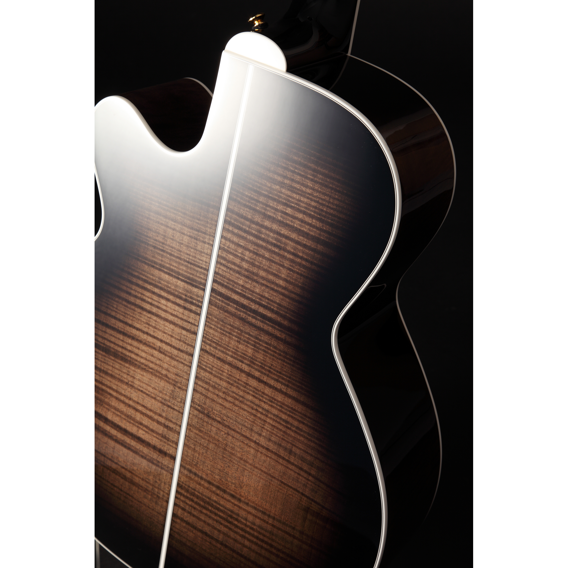Đàn Guitar Acoustic Takamine EF450C-TT - Việt Music