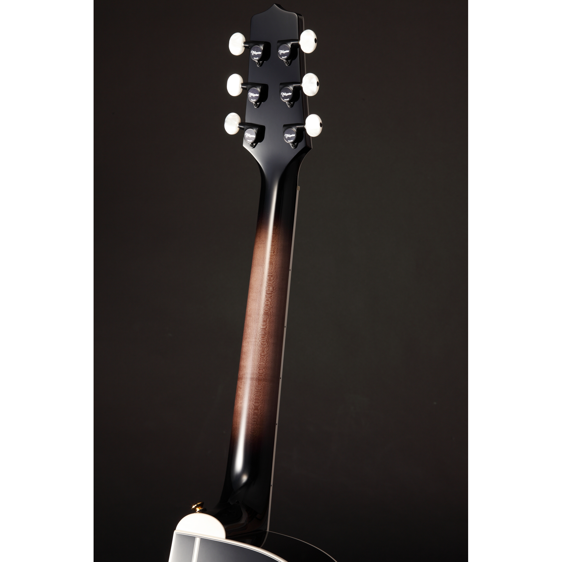 Đàn Guitar Acoustic Takamine EF450C-TT - Việt Music