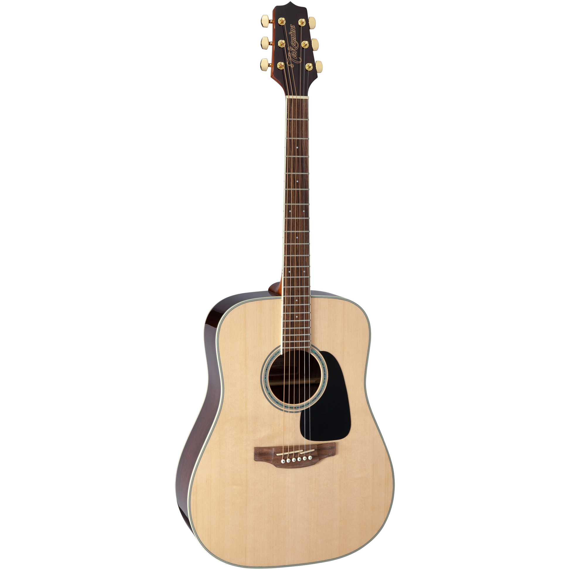 Đàn Guitar Acoustic Takamine GD51 - Việt Music