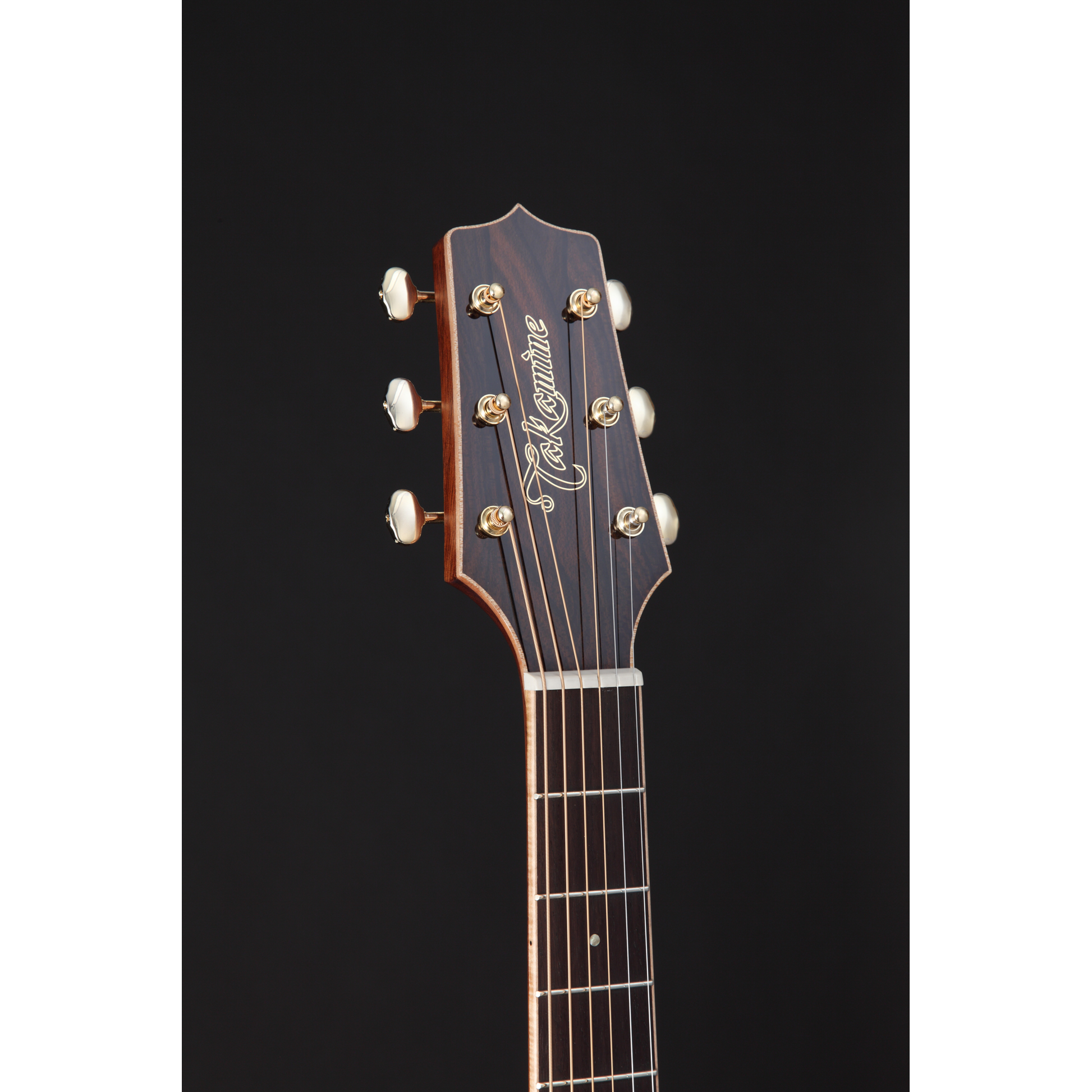 Đàn Guitar Acoustic Takamine GD90CE Ziricote - Việt Music