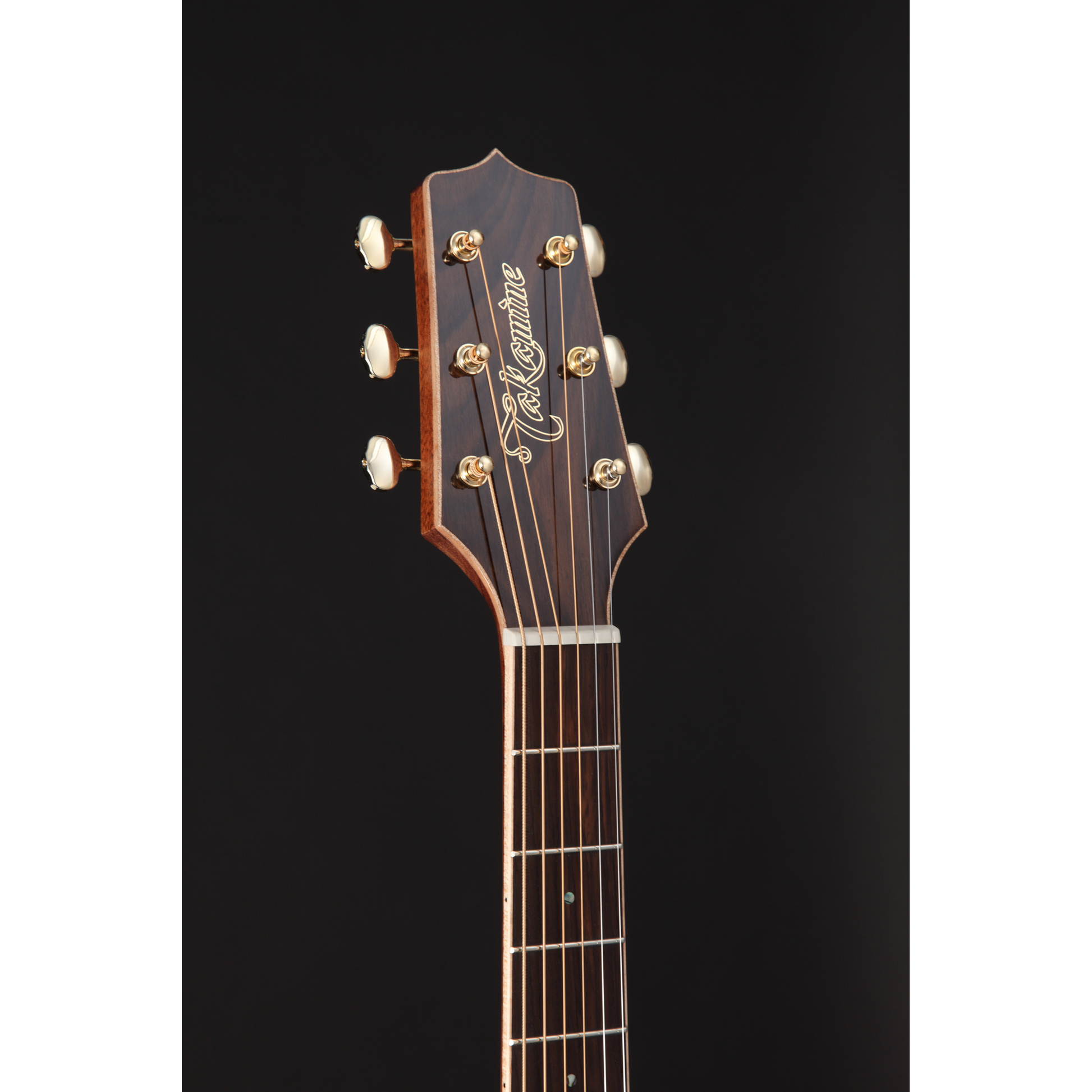 Đàn Guitar Acoustic Takamine GN90CE Ziricote - Việt Music