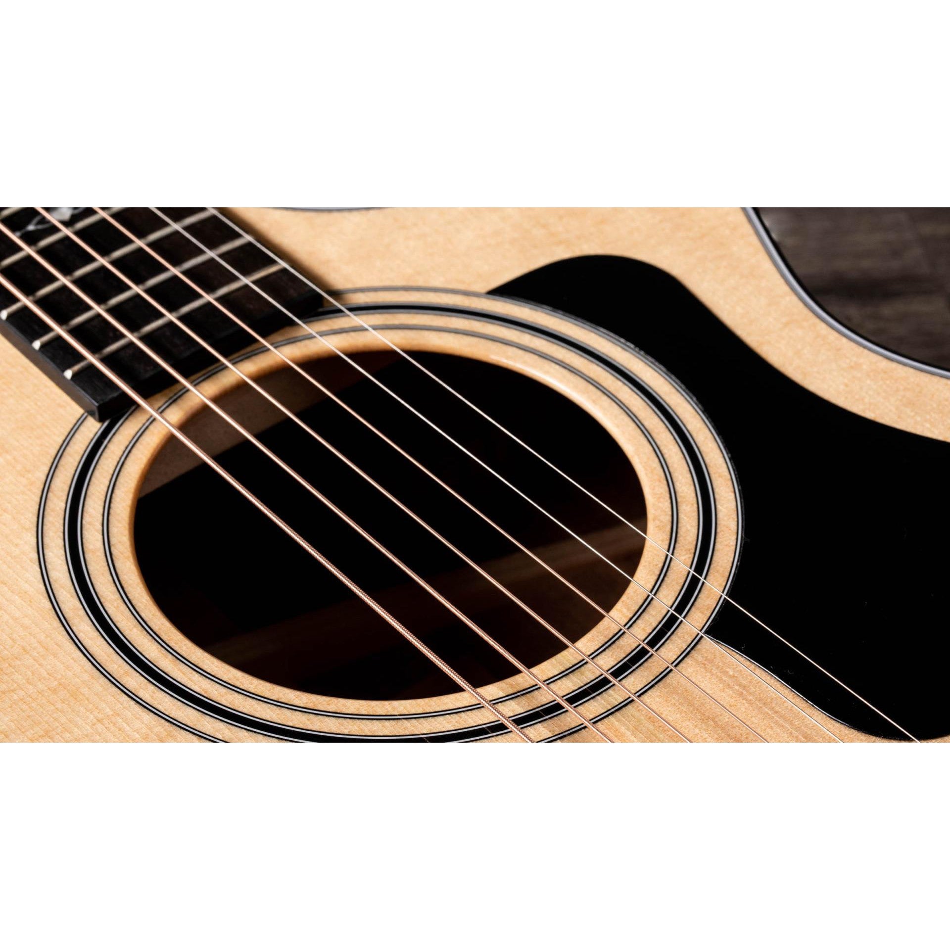 Đàn Guitar Acoustic Taylor 312CE - Grand Concert - Việt Music