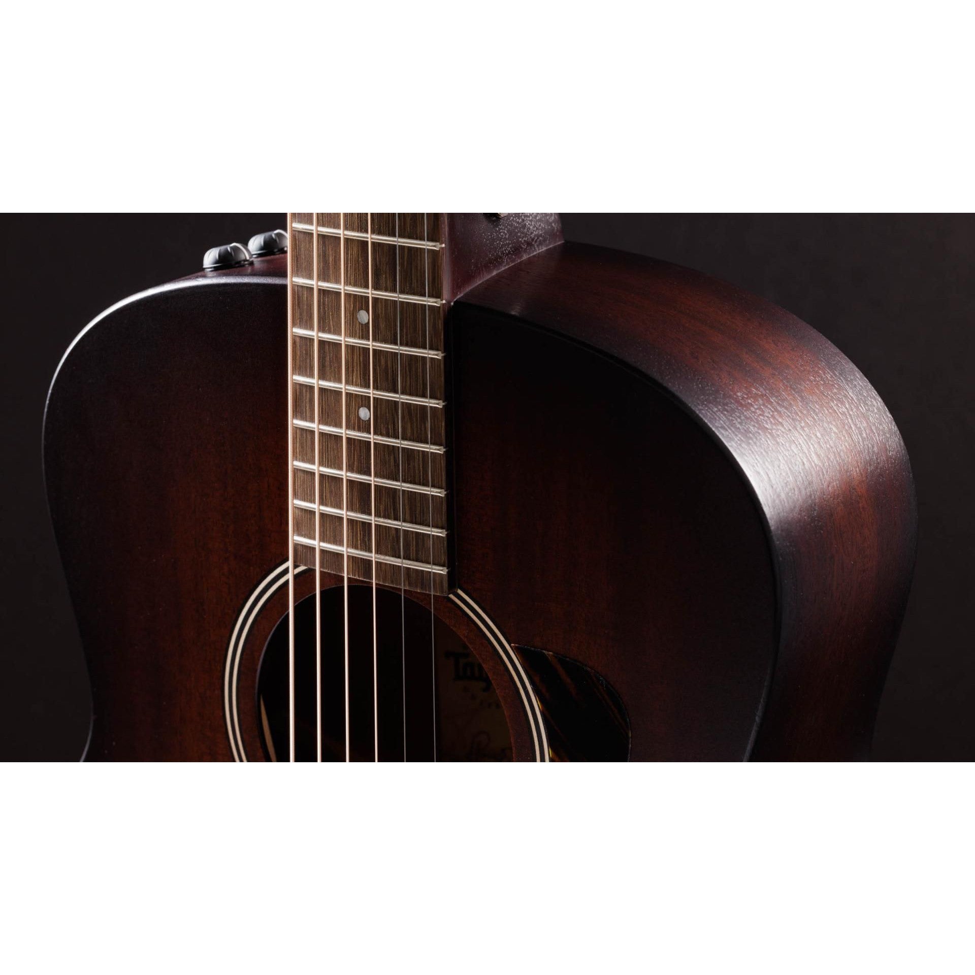 Đàn Guitar Acoustic Taylor AD21E - Taylor GT - Việt Music