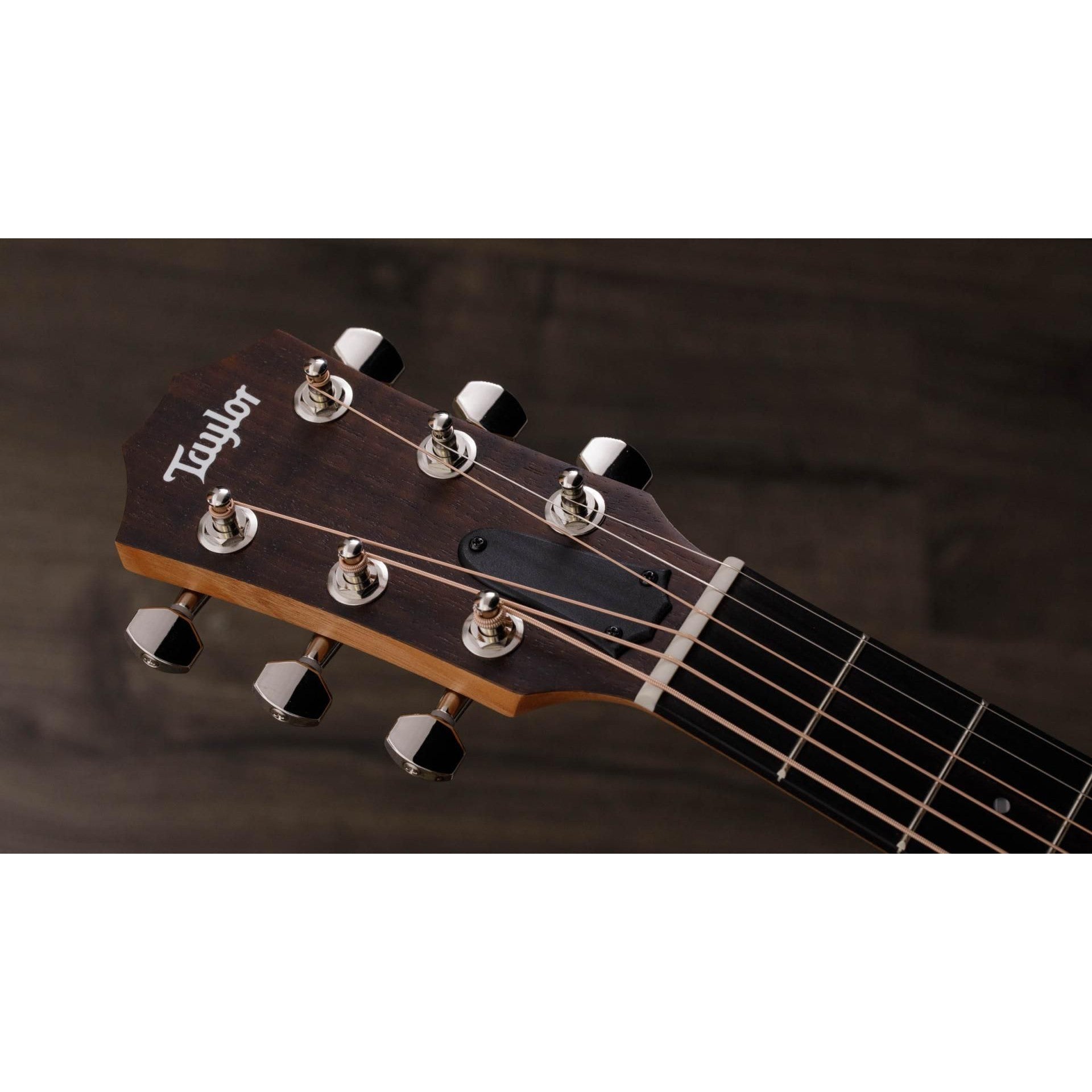 Đàn Guitar Acoustic Taylor GS Mini-E Rosewood Plus - Việt Music