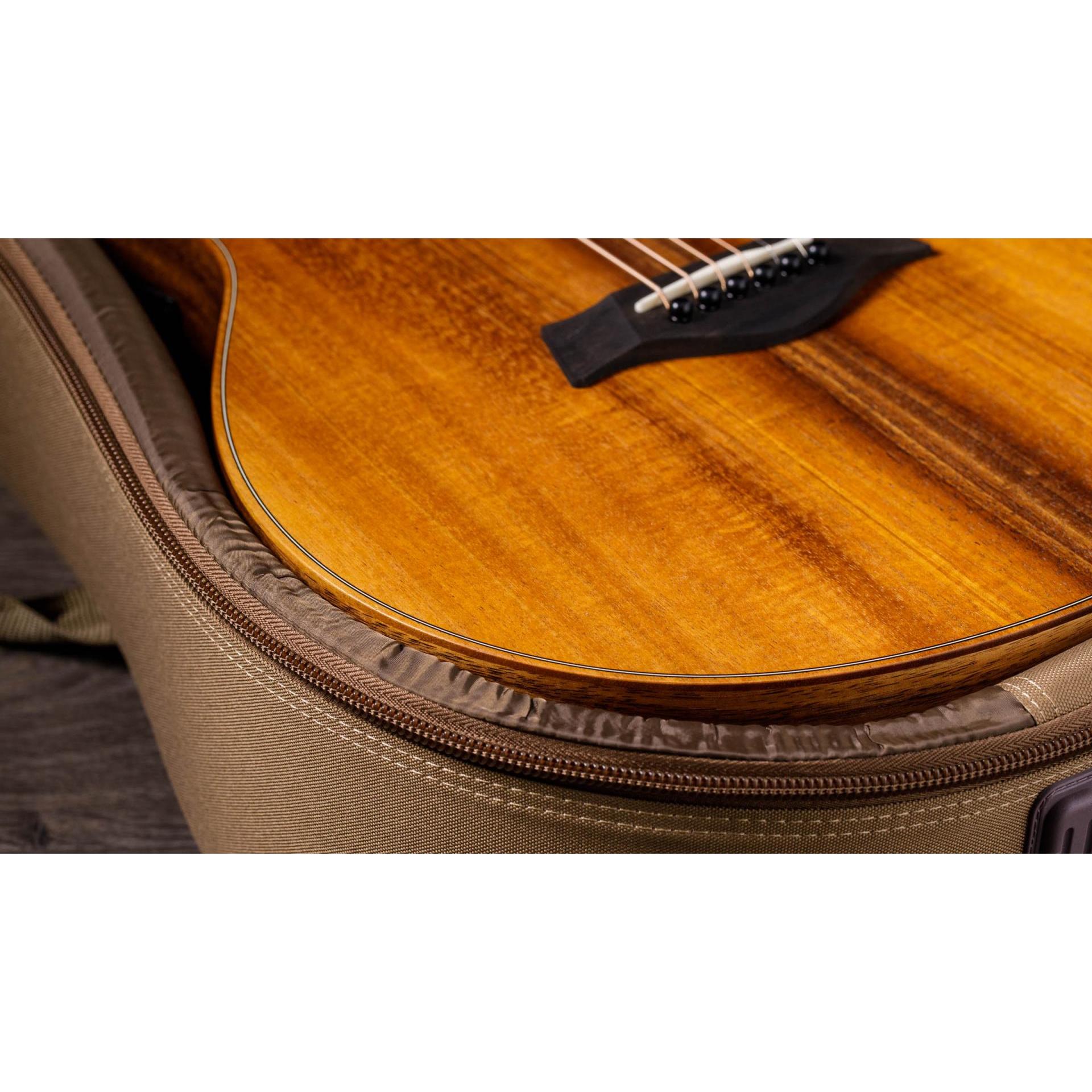 Đàn Guitar Acoustic Taylor GS Mini-E Koa - Việt Music