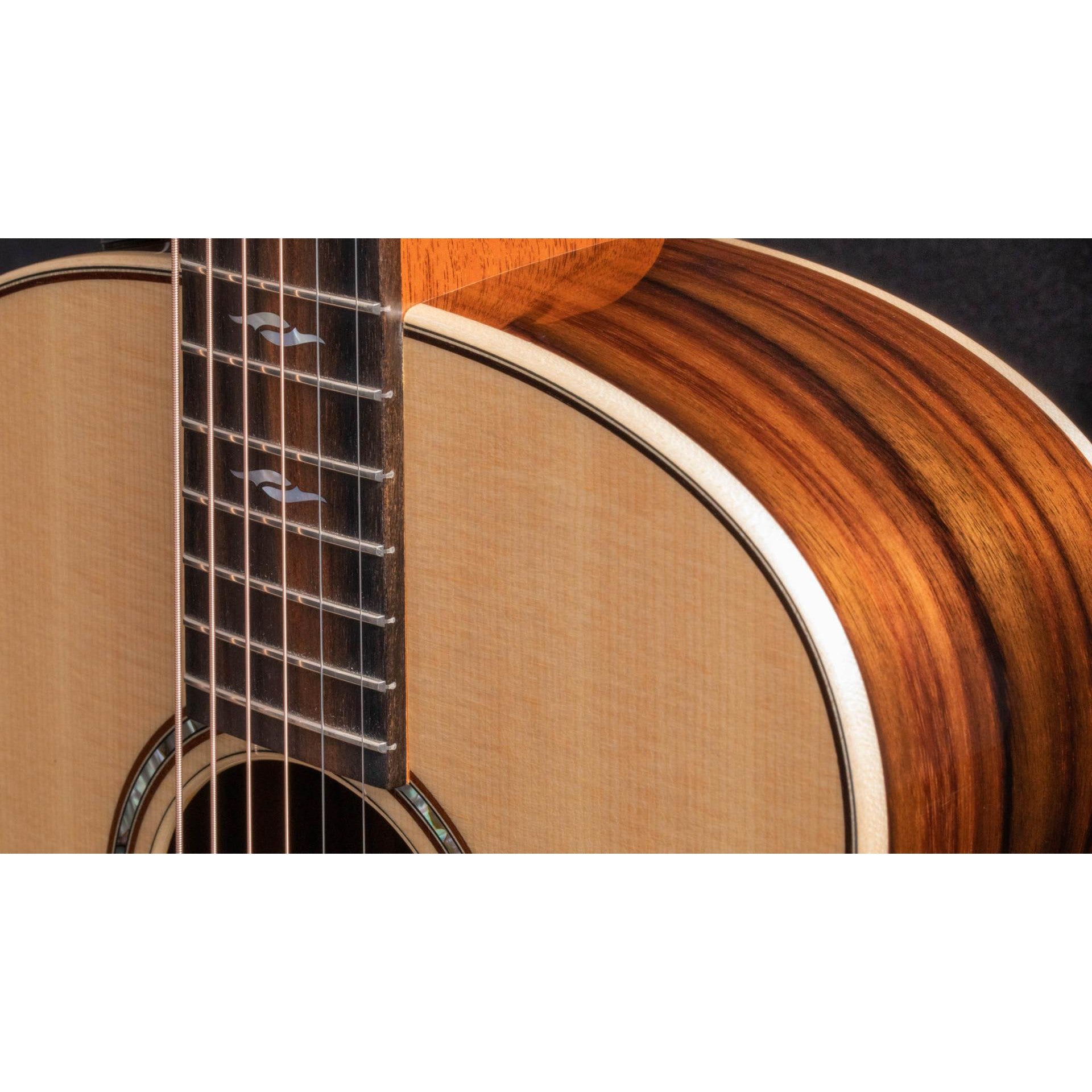 Đàn Guitar Acoustic Taylor 811E Builder's Edition - Taylor GT - Việt Music
