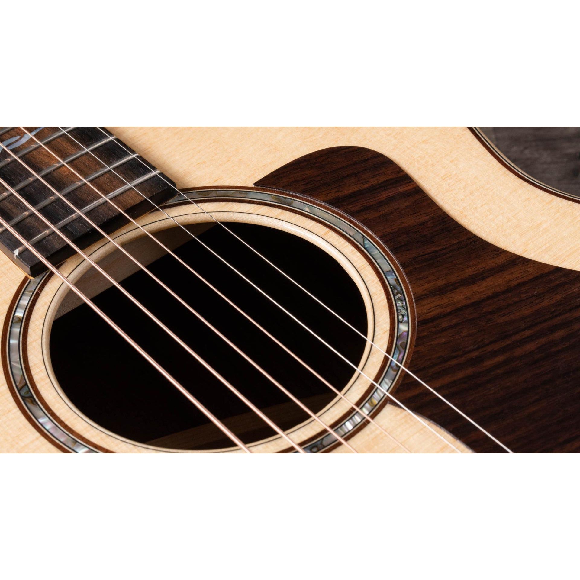 Đàn Guitar Acoustic Taylor 811E Builder's Edition - Taylor GT - Việt Music