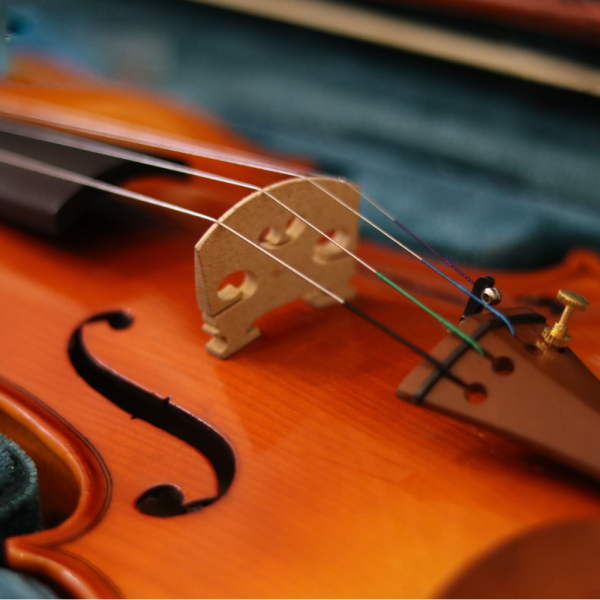 Đàn Violin Acutis AHV2103 - Việt Music