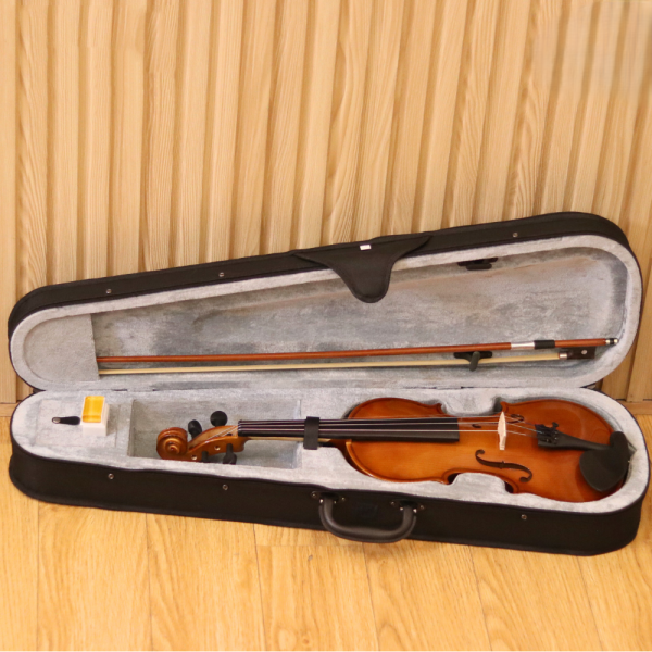 Đàn Violin Acutis AYV3003 Size 4/4 - Việt Music