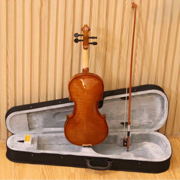 Đàn Violin Acutis AYV3003 Size 4/4 - Việt Music