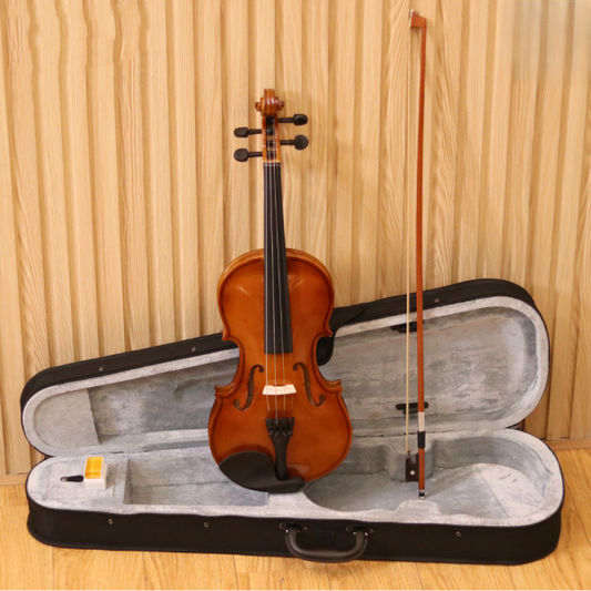 Đàn Violin Acutis AYV3003 Size 4/4 - Việt Music