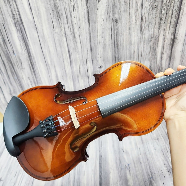 Đàn Violin Acutis AYV3005 Size 4/4 - Việt Music