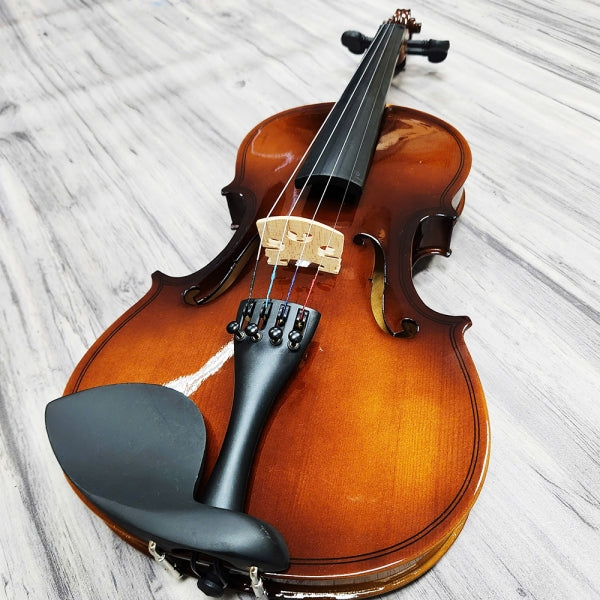 Đàn Violin Acutis AYV3005 Size 4/4 - Việt Music