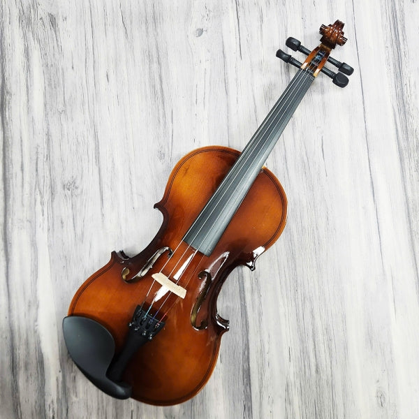 Đàn Violin Acutis AYV3005 Size 4/4 - Việt Music