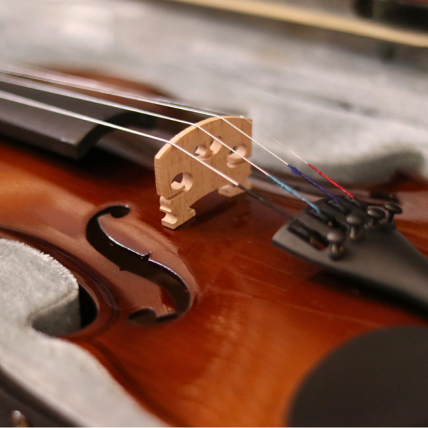 Đàn Violin Acutis AYV3005 Size 4/4 - Việt Music
