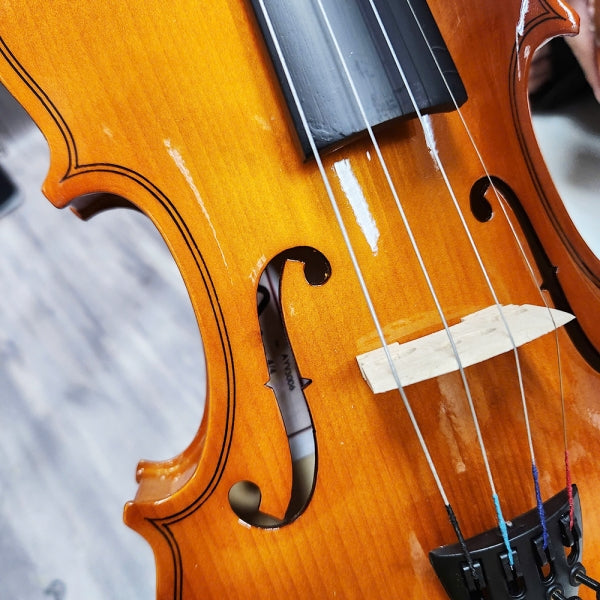 Đàn Violin Acutis AYV3006 - Việt Music