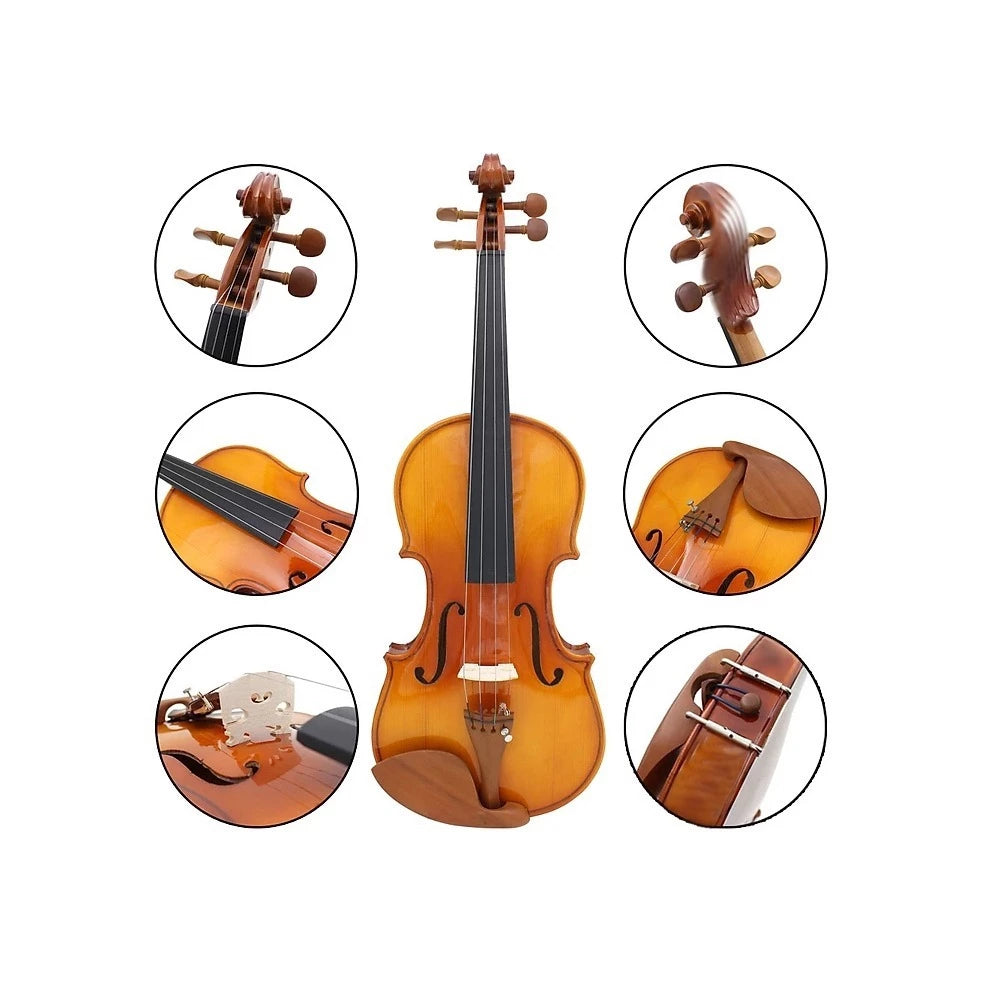 Đàn Violin Amati VW30M 4/4 - Việt Music