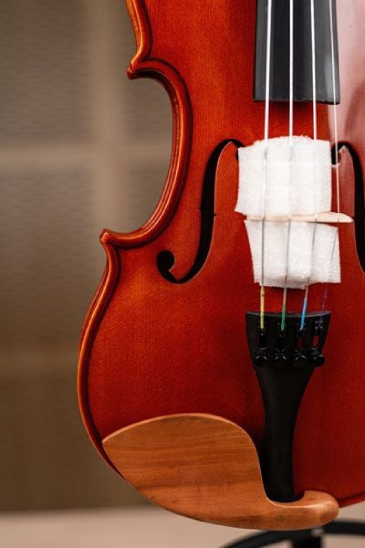 Đàn Violin PHOENIX Violin VP101R size 4/4 - Việt Music
