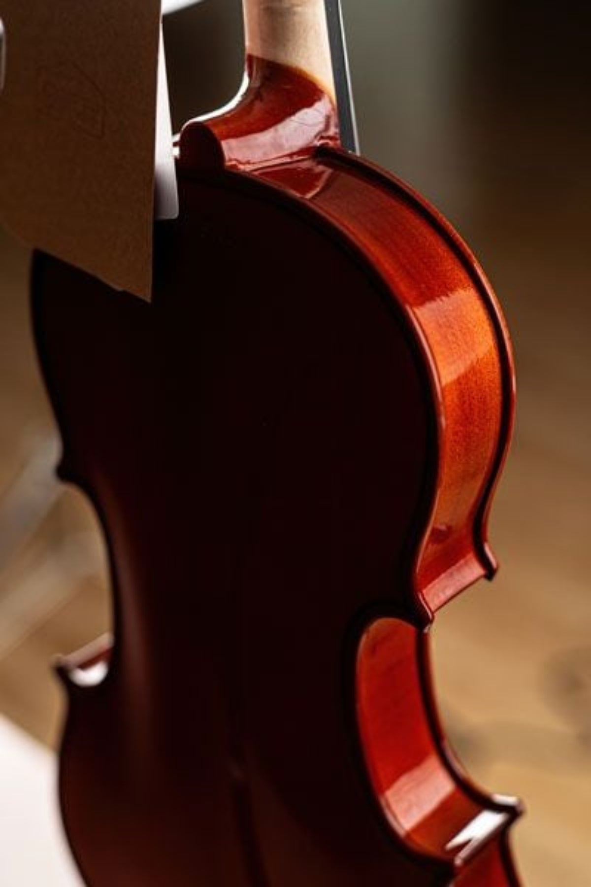 Đàn Violin PHOENIX Violin VP101R size 4/4 - Việt Music