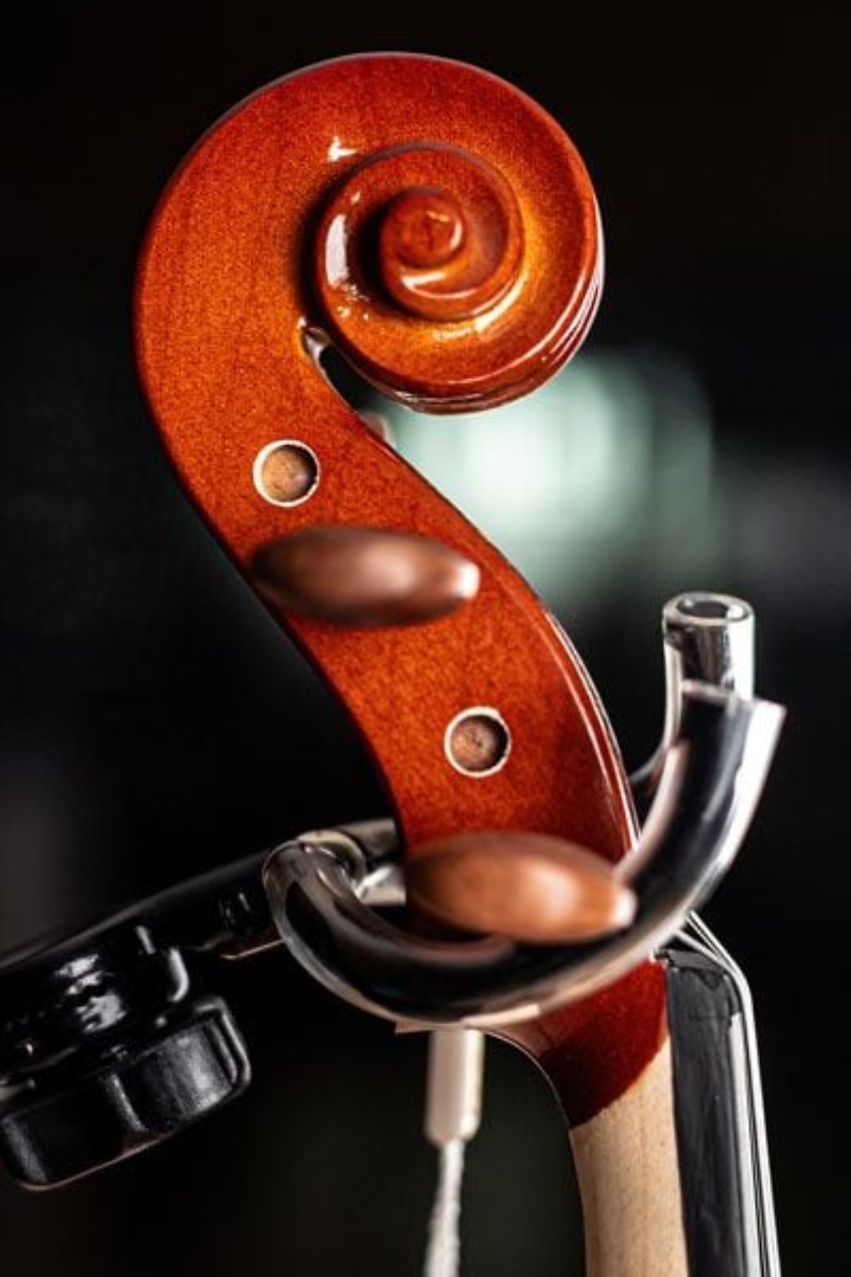 Đàn Violin PHOENIX Violin VP101R size 4/4 - Việt Music