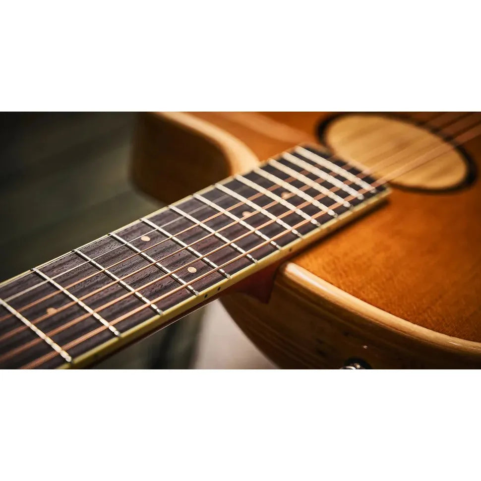 Đàn Guitar Acoustic LR Baggs AEG-1 - Việt Music