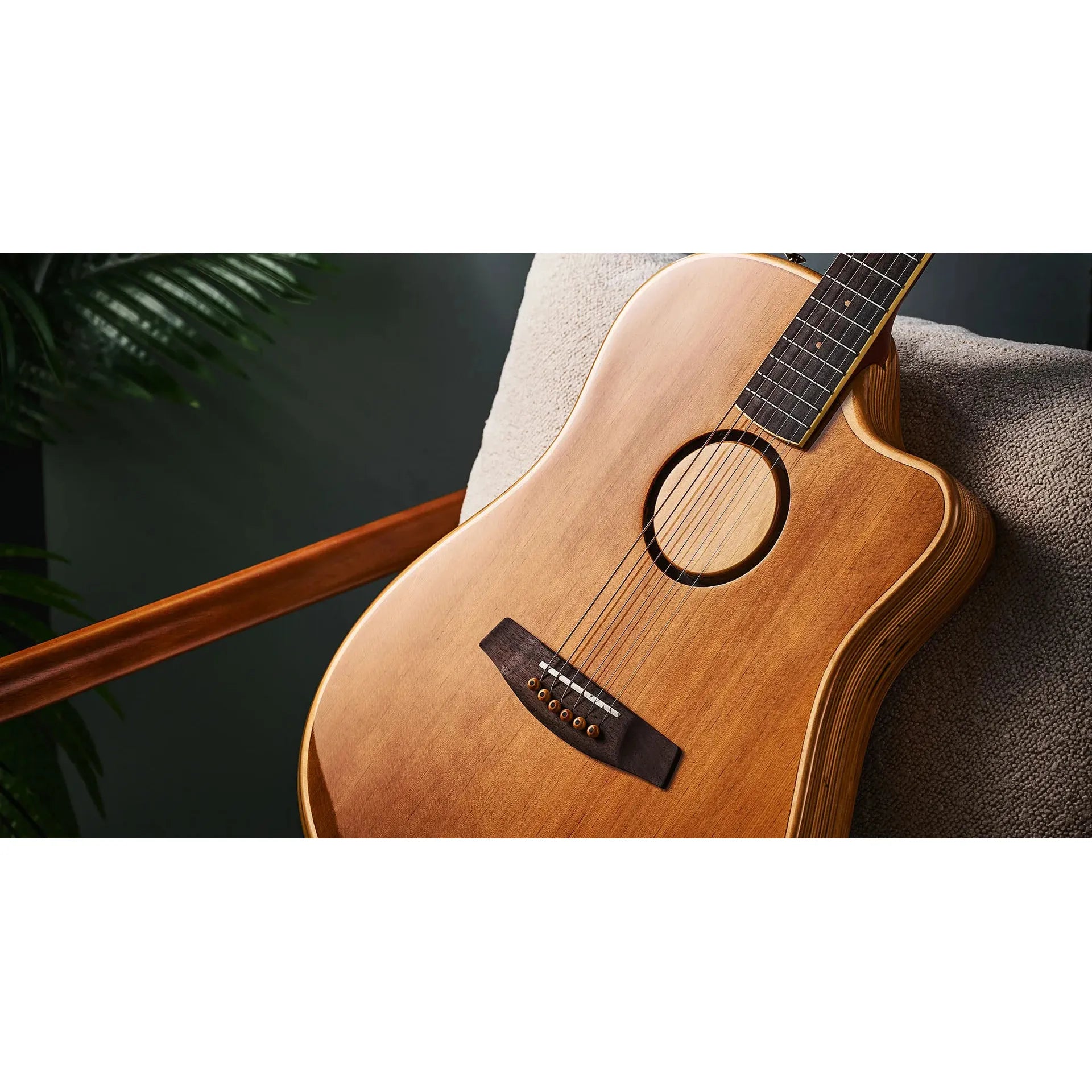 Đàn Guitar Acoustic LR Baggs AEG-1 - Việt Music