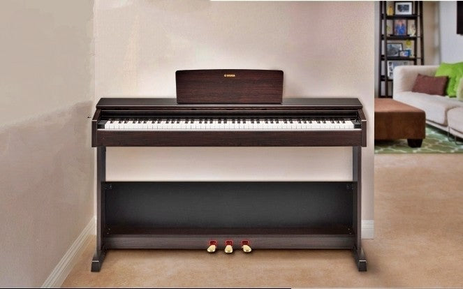 Kinh Nghiệm Mua Đàn Piano Giá Rẻ Cho Người Mới Học