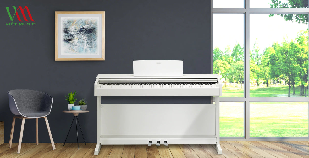 Giá Đàn Piano Bao Nhiêu Tiền?