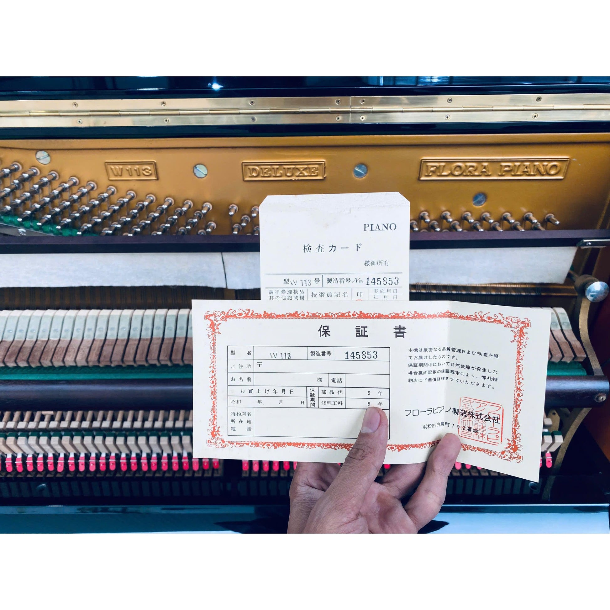 Đàn Piano Cơ Upright Earl Windsor W-113 - Qua Sử Dụng - Việt Music