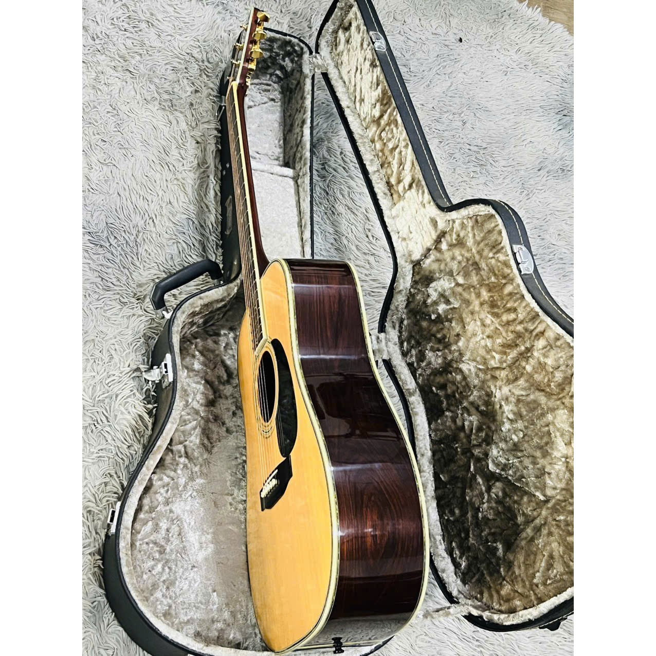 Đàn Guitar Acoustic Morris W100D - Qua Sử Dụng - Việt Music