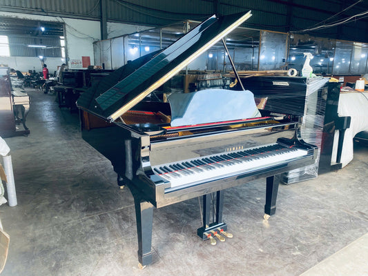 Grand Piano Yamaha C3B - Qua Sử Dụng