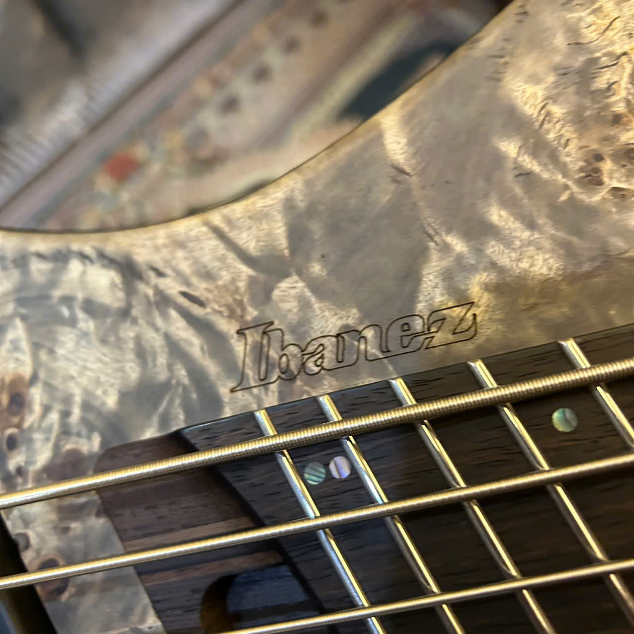 Đàn Guitar Bass Ibanez EHB1505MS - EHB Workshop HH, Panga Panga Fingerboard - 5 Strings - Việt Music