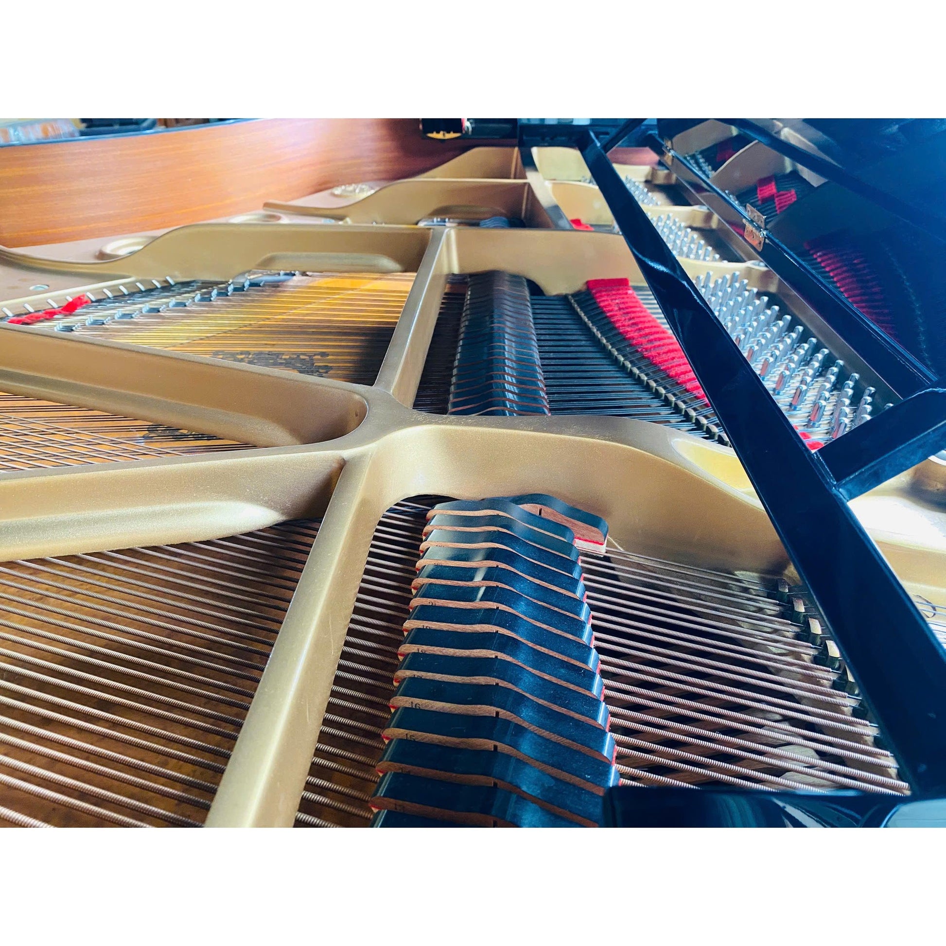 Grand Piano Yamaha C5B - Qua Sử Dụng - Việt Music