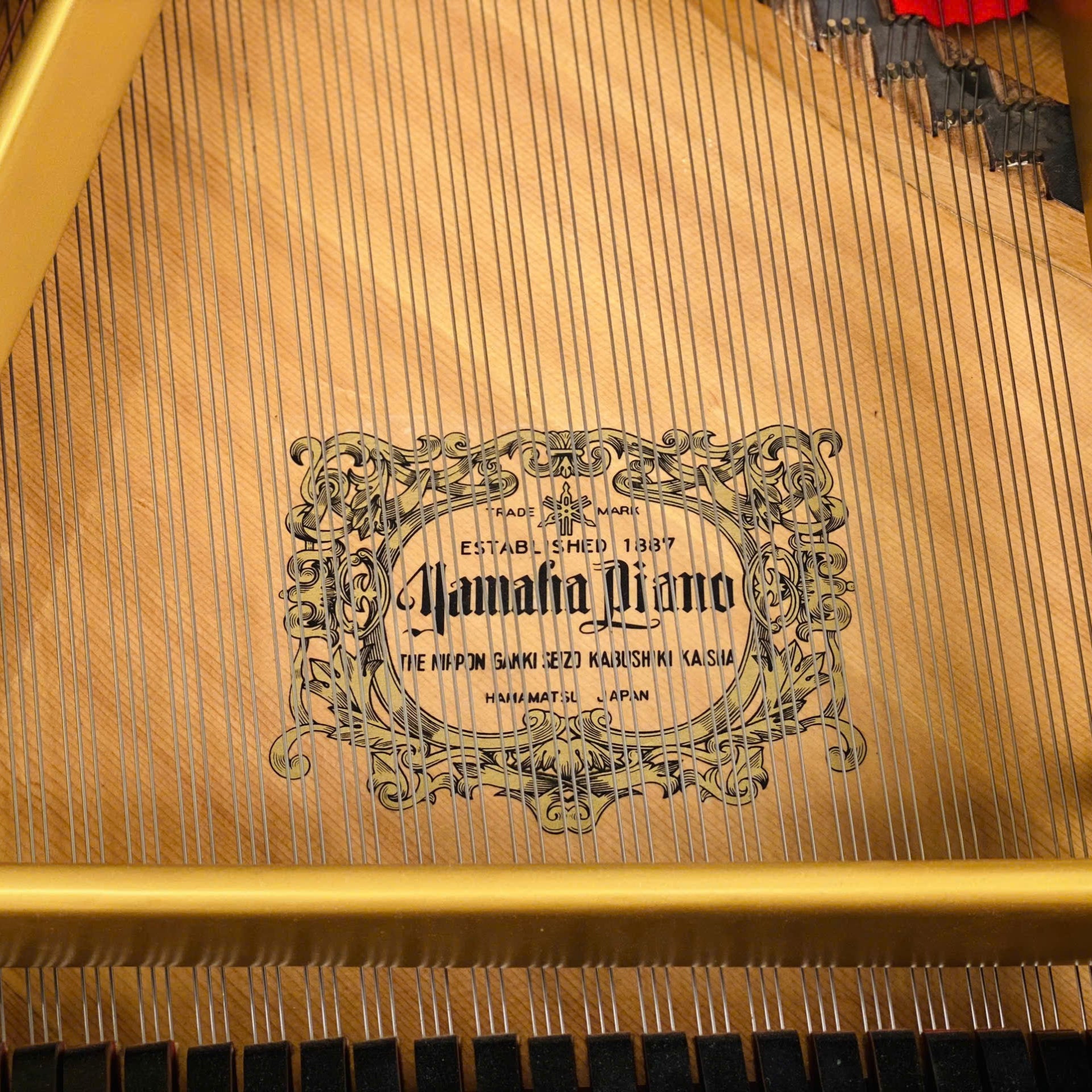 Grand Piano Yamaha G5 - Qua Sử Dụng - Việt Music
